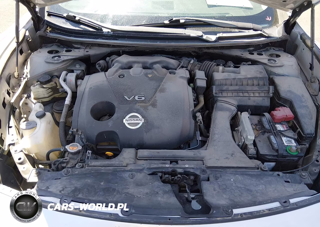 2013 Nissan Maxima 3.5 Sv VIN:1N4AA5APXDC841800 - 10