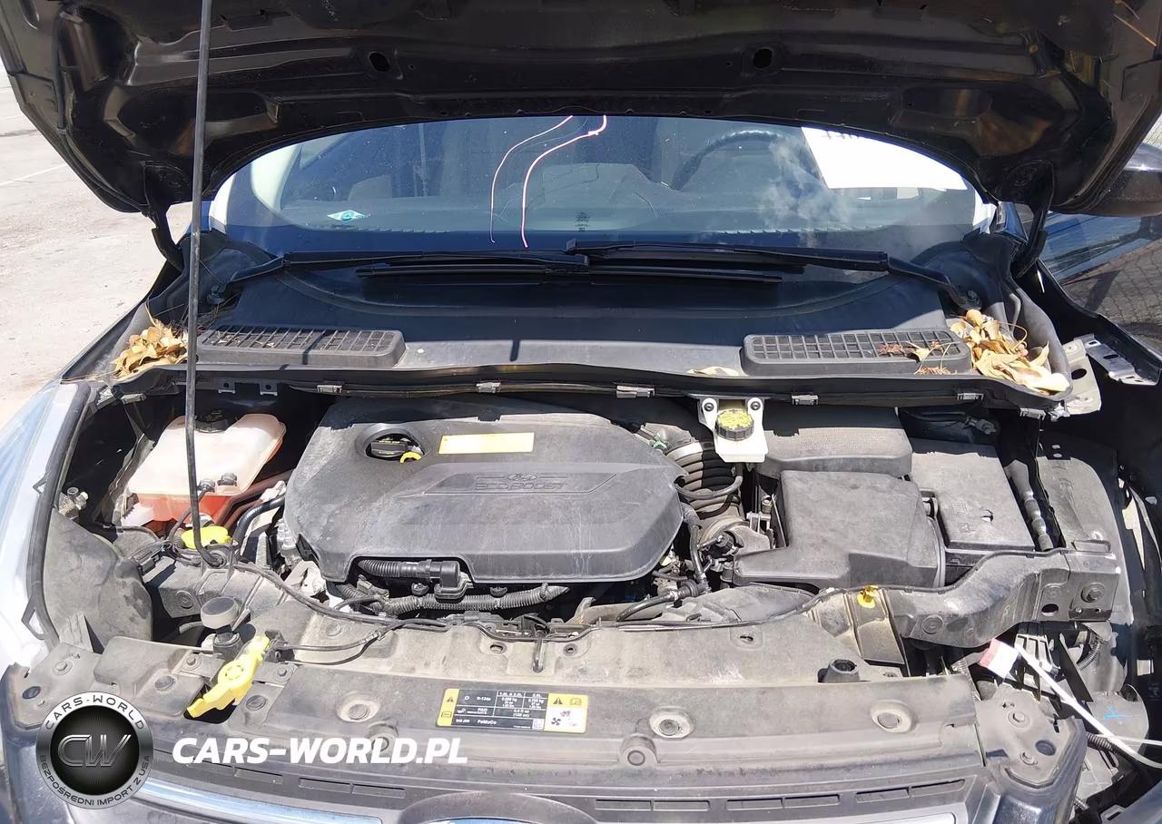 2015 Ford Escape Se VIN:1FMCU0GX4FUA73759 - 10