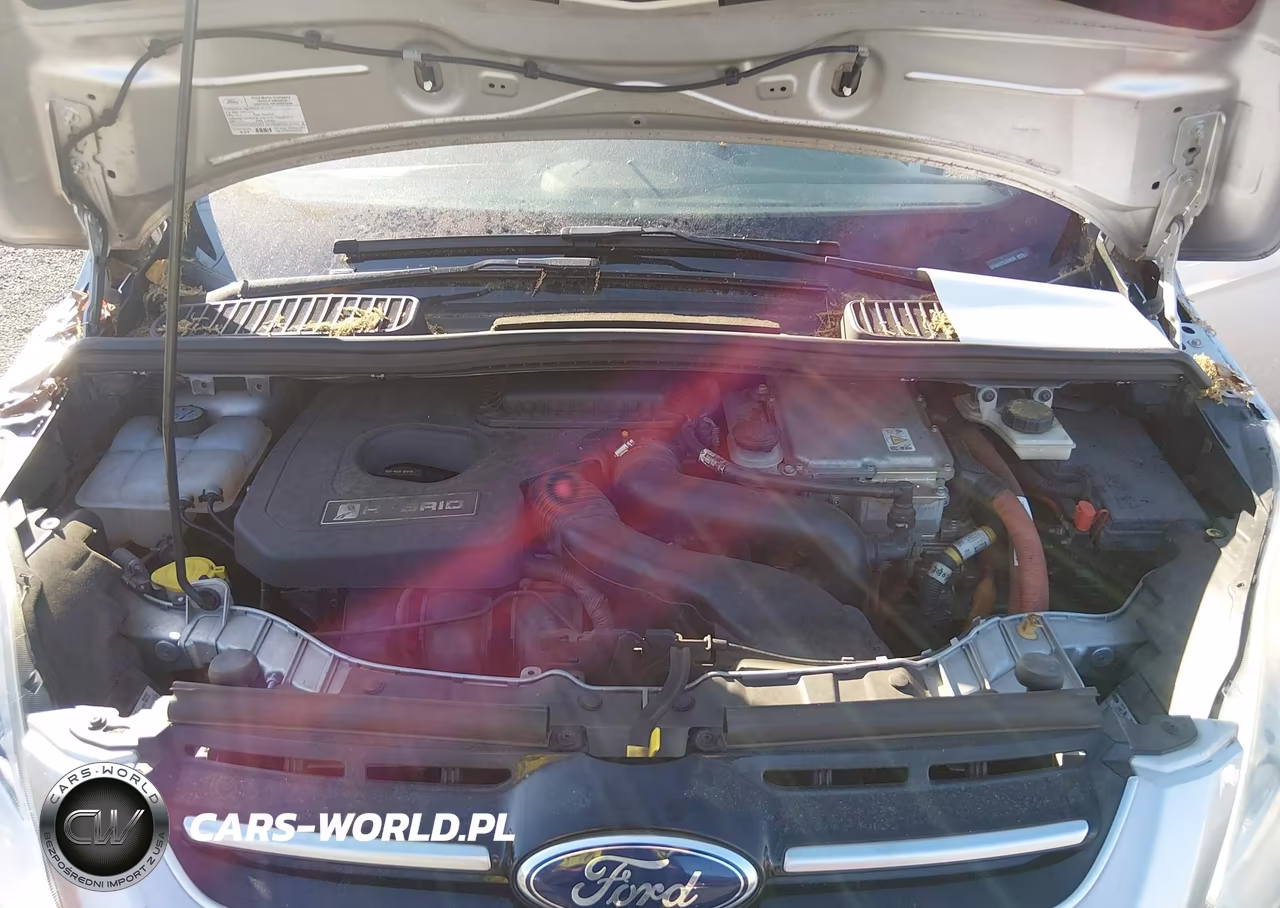 2013 Ford C-Max Hybrid Se VIN:1FADP5AU7DL524820 - 10