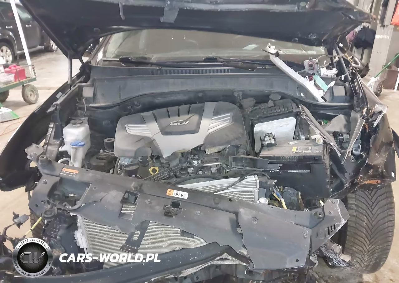 2018 Hyundai Santa Fe Limited Ultimate VIN:KM8SRDHF7JU286028 - 10