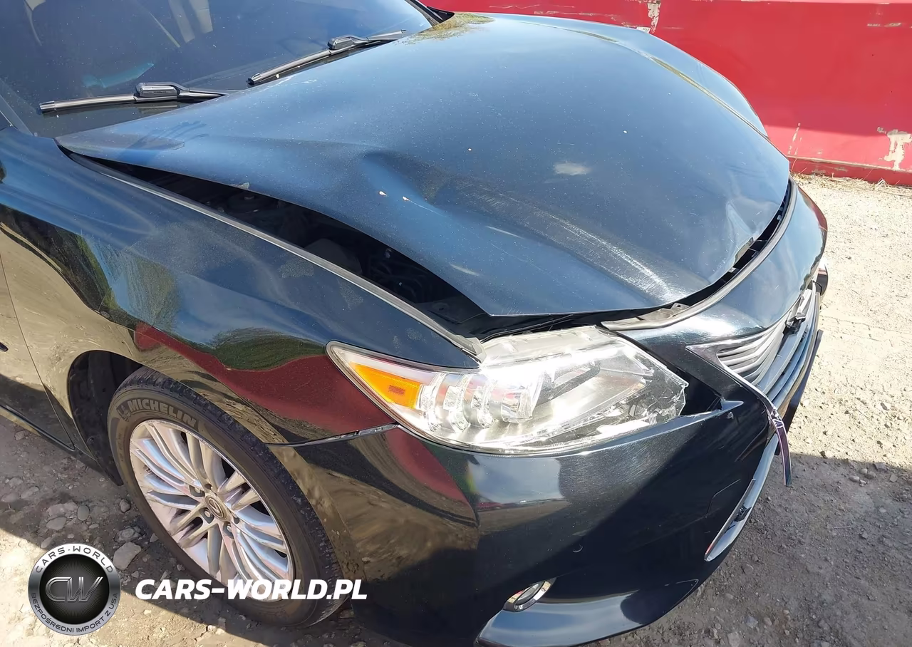 2014 Lexus Es 350 VIN:JTHBK1GG4E2137822 - 17