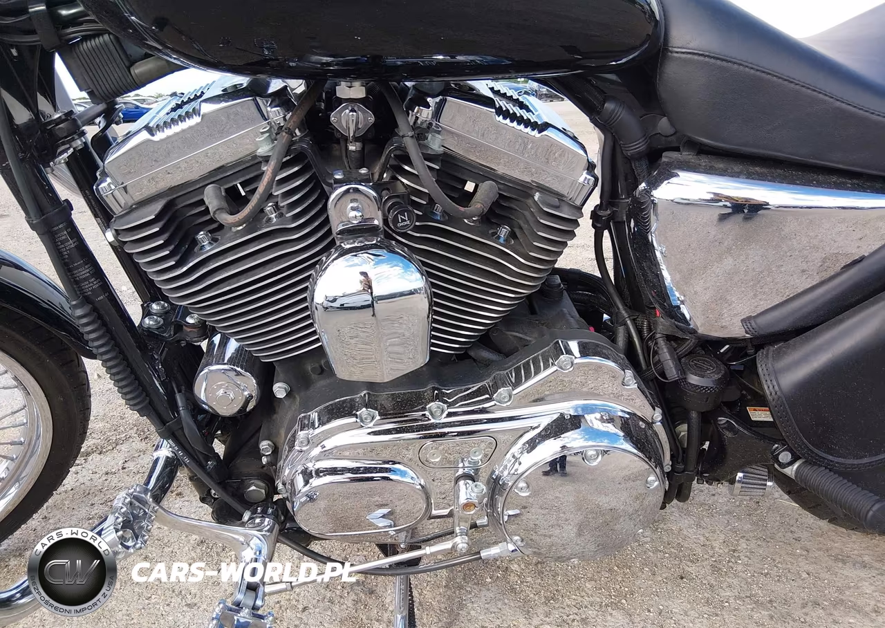 2004 Harley-Davidson Xl1200 C VIN:1HD1CGP194K450600 - 9