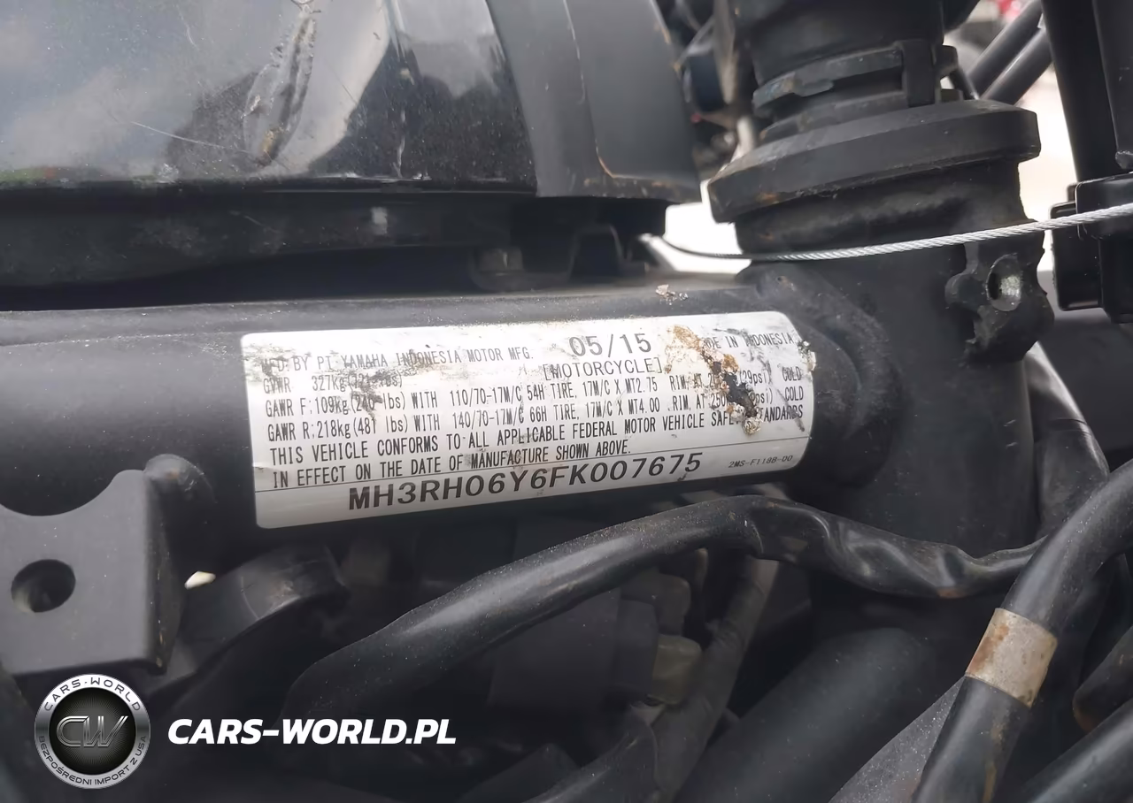 2015 Yamaha Yzfr3 VIN:MH3RH06Y6FK007675 - 10