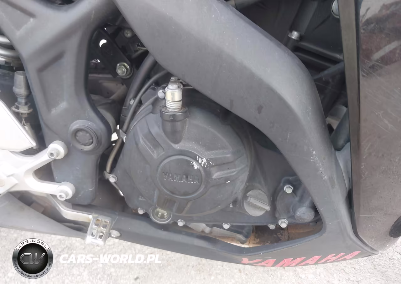 2015 Yamaha Yzfr3 VIN:MH3RH06Y6FK007675 - 8