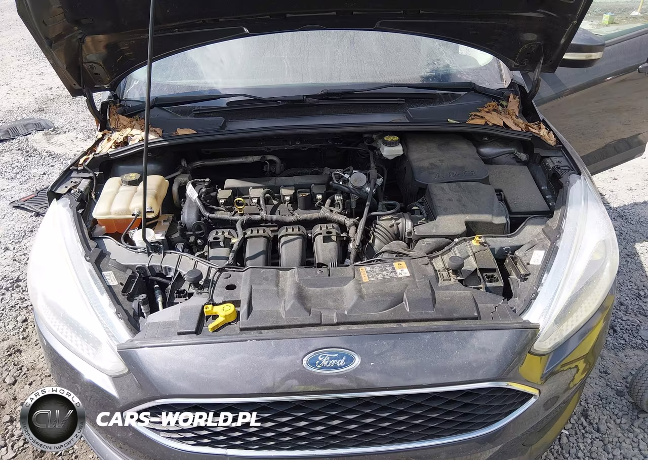 2017 Ford Focus Se VIN:1FADP3F2XHL259618 - 10