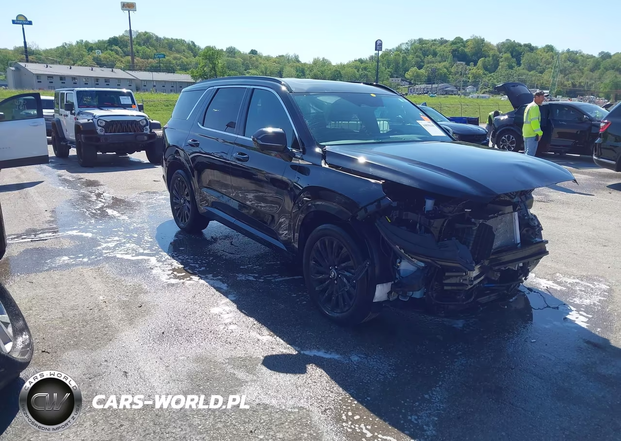 2025 Hyundai Palisade Calligraphy Night Edition