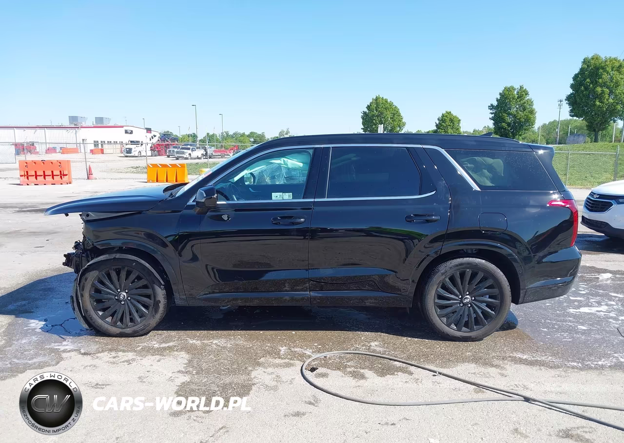 2025 Hyundai Palisade Calligraphy Night Edition VIN:KM8R7DGE9SU906229 - 13