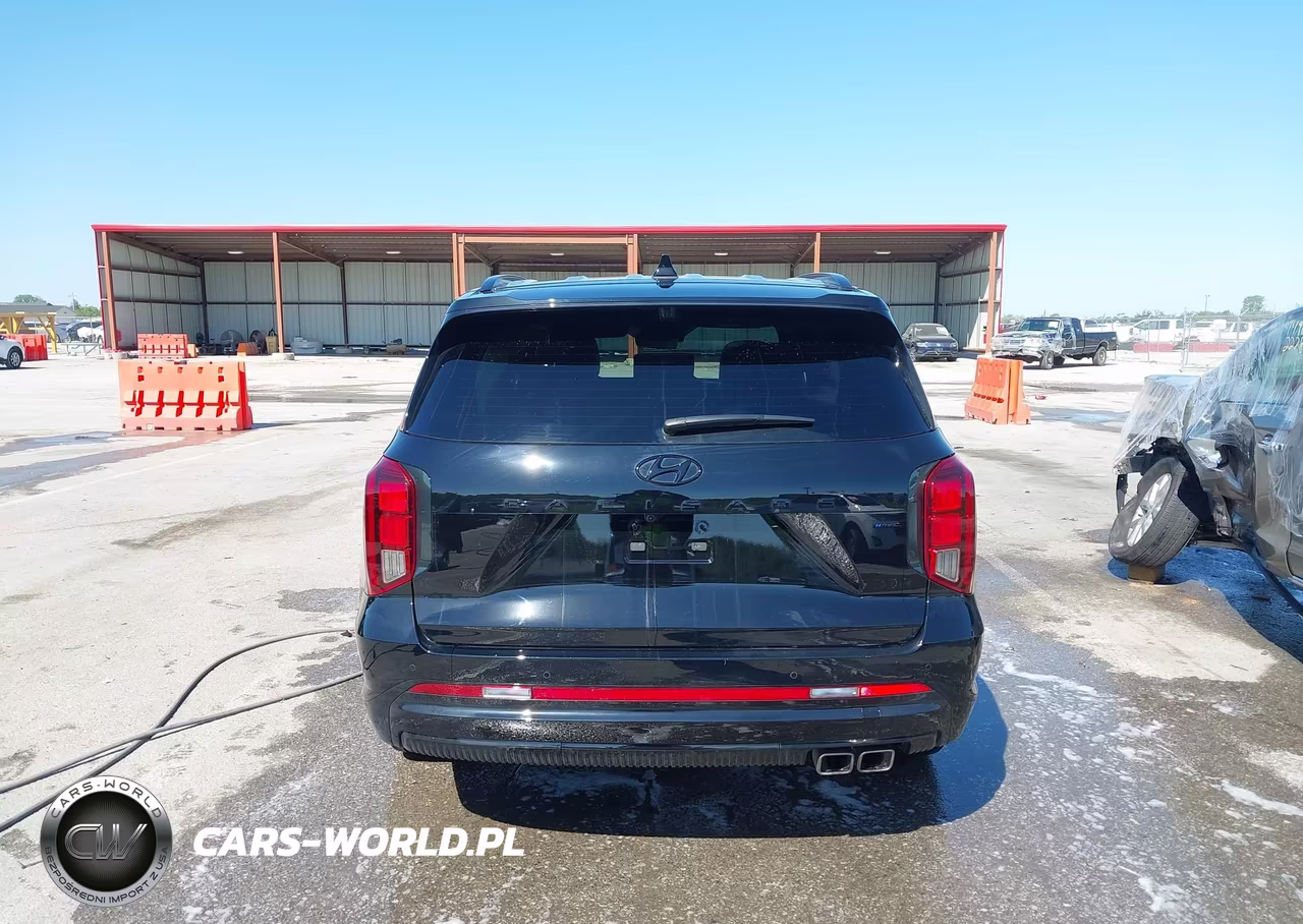 2025 Hyundai Palisade Calligraphy Night Edition VIN:KM8R7DGE9SU906229 - 15