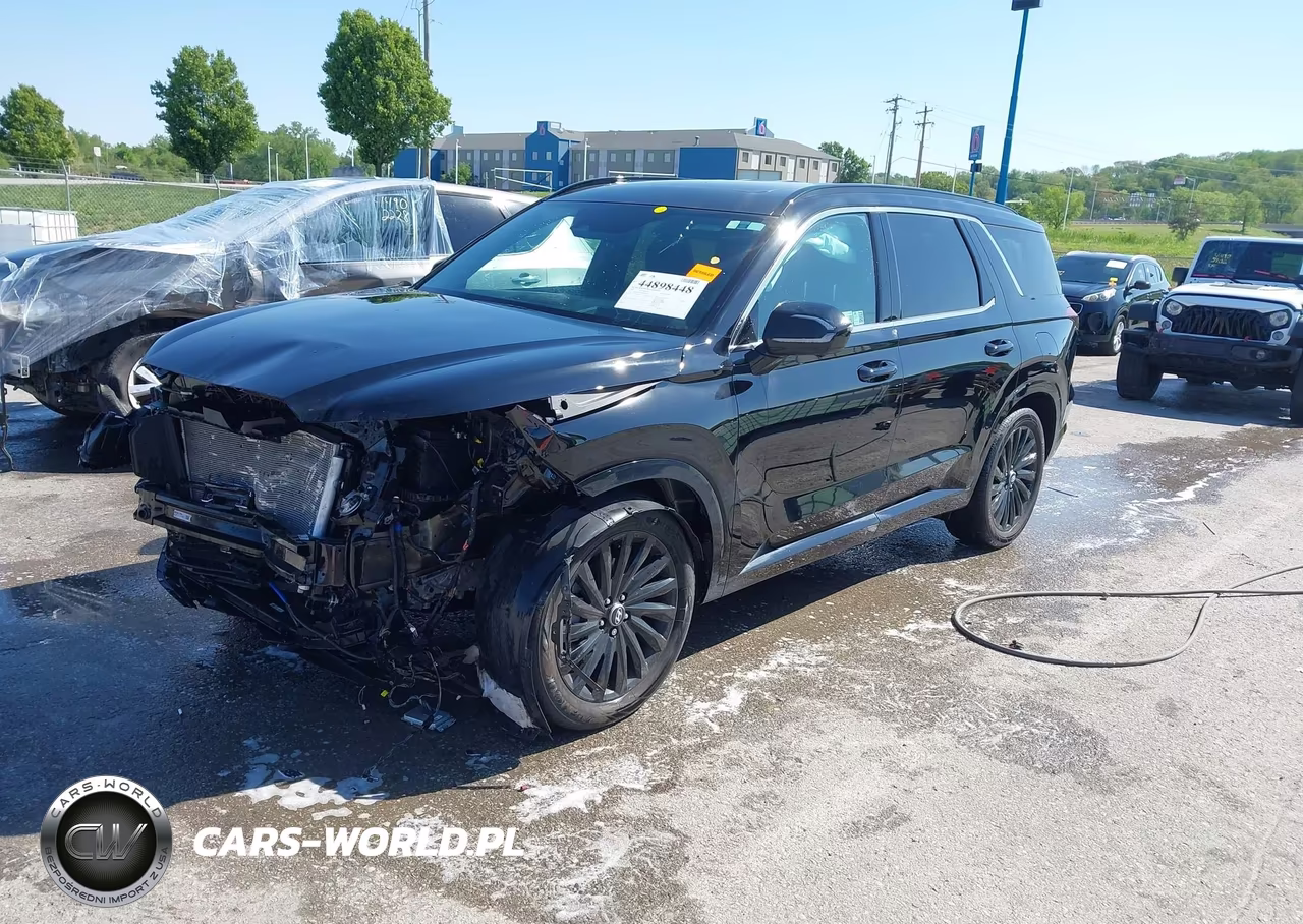 2025 Hyundai Palisade Calligraphy Night Edition VIN:KM8R7DGE9SU906229 - 2