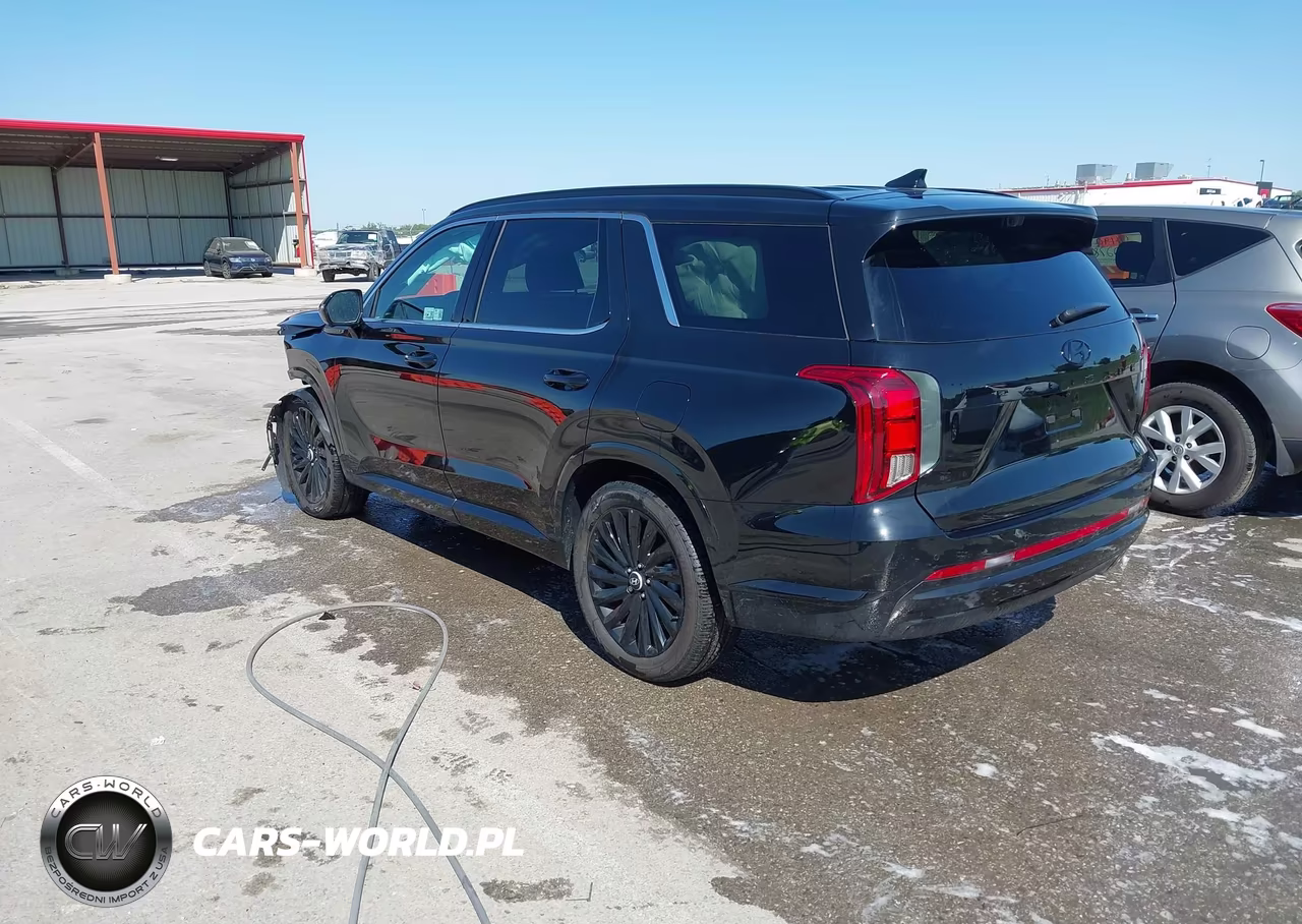 2025 Hyundai Palisade Calligraphy Night Edition VIN:KM8R7DGE9SU906229 - 3
