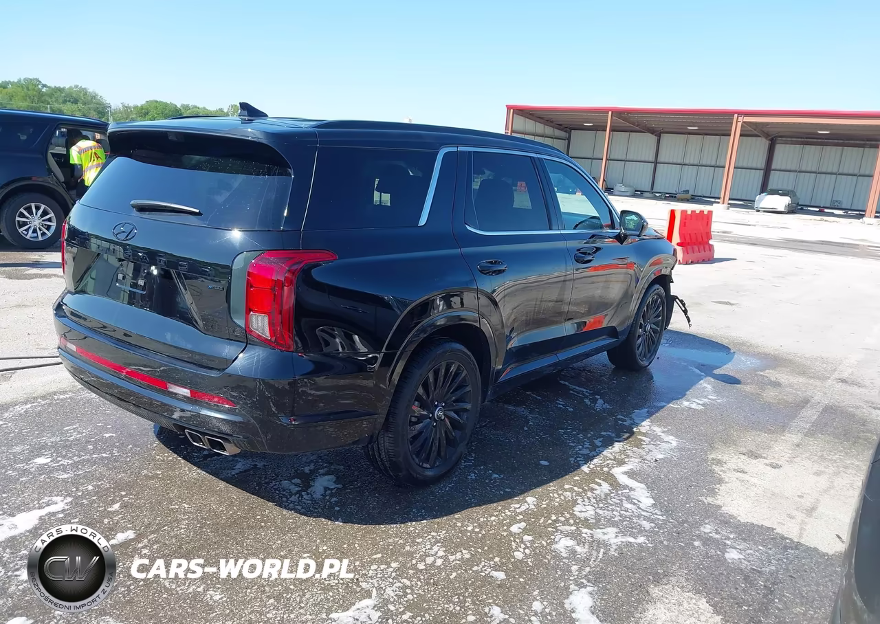 2025 Hyundai Palisade Calligraphy Night Edition VIN:KM8R7DGE9SU906229 - 4