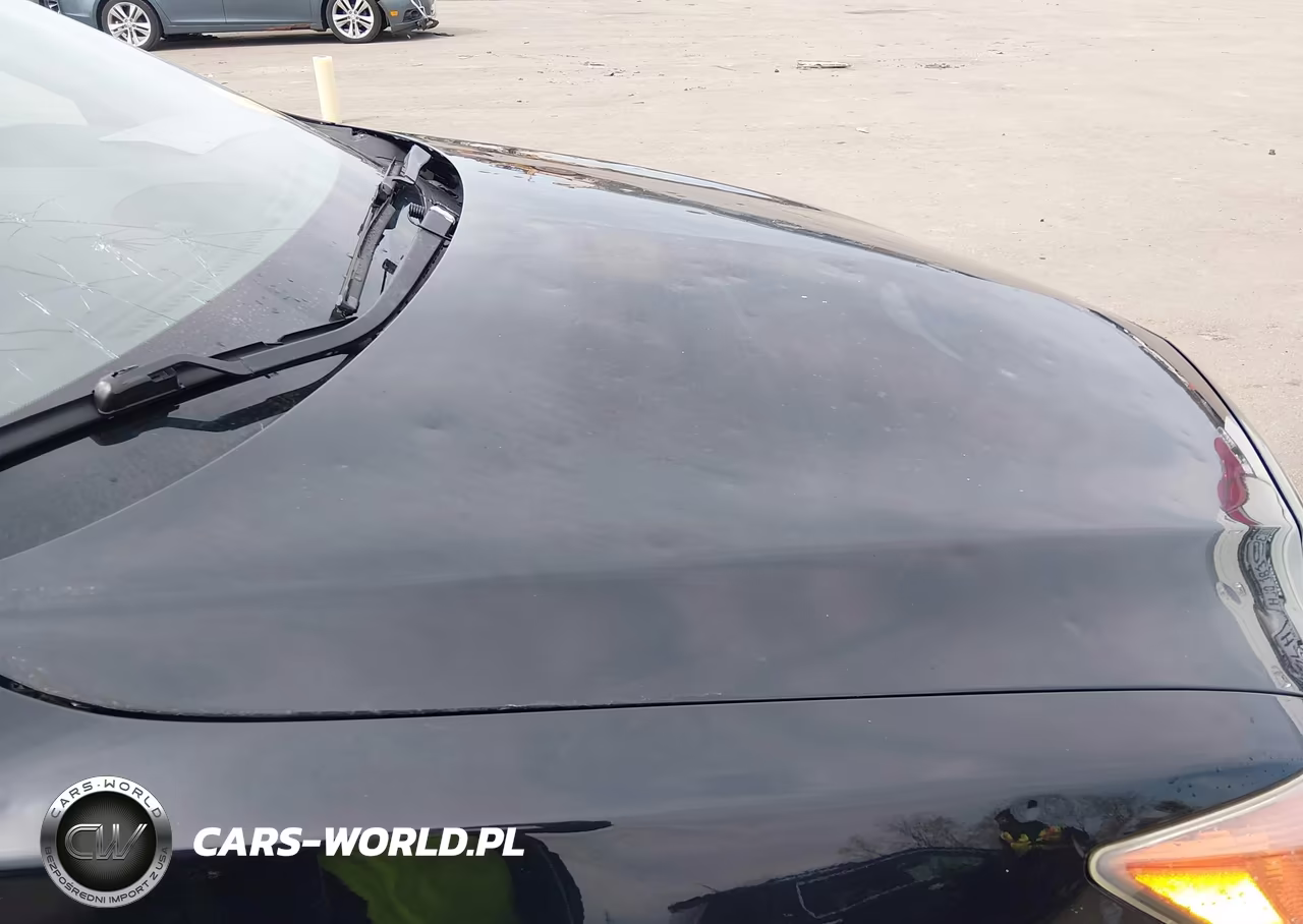 2013 Acura Ilx 2.0L VIN:19VDE1F37DE000447 - 17
