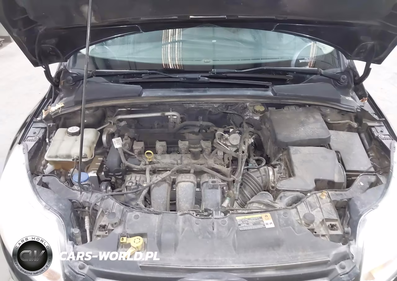 2014 Ford Focus Se VIN:1FADP3K24EL187204 - 10