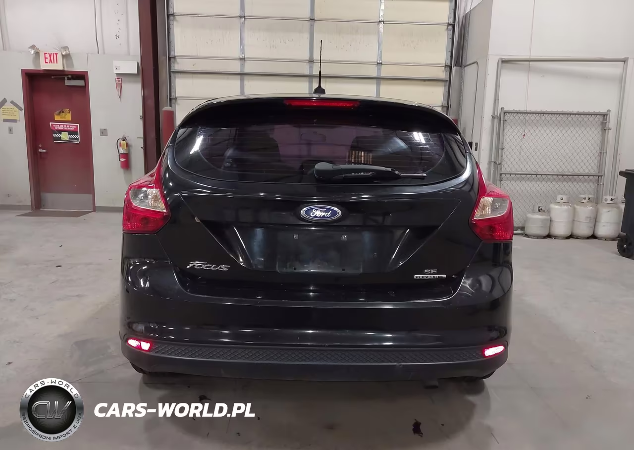 2014 Ford Focus Se VIN:1FADP3K24EL187204 - 16