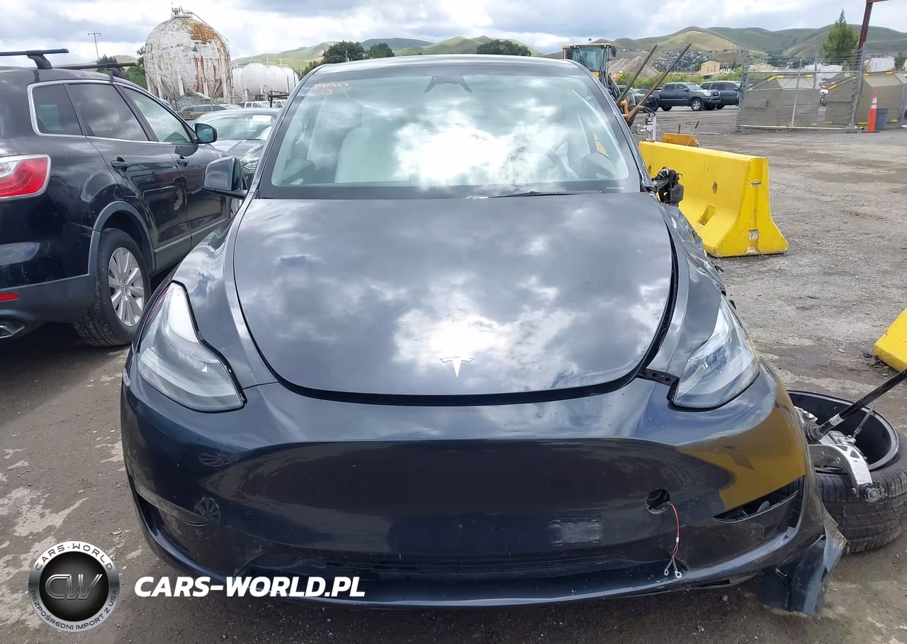 2024 Tesla Model Y Long Range Dual Motor All-Wheel Drive VIN:7SAYGDEE4RF073772 - 11