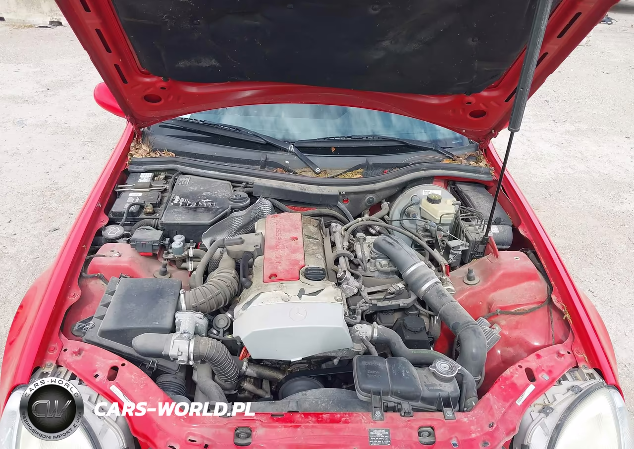 1999 Mercedes-Benz Slk 230 Kompressor VIN:WDBKK47F5XF102114 - 10