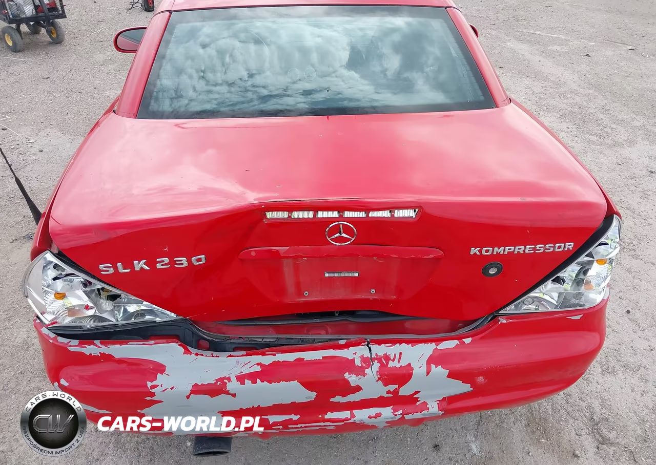 1999 Mercedes-Benz Slk 230 Kompressor VIN:WDBKK47F5XF102114 - 13