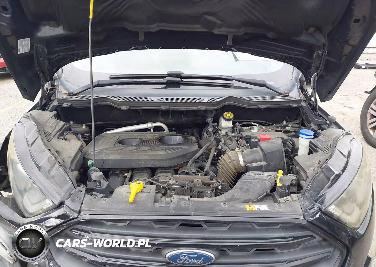 2020 Ford Ecosport Ses VIN:MAJ6S3JL3LC345661 - 10