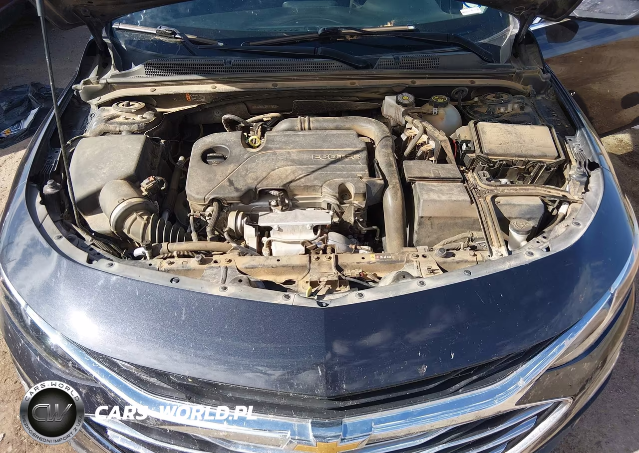 2023 Chevrolet Malibu Fwd 1Lt VIN:1G1ZD5ST8PF175631 - 10