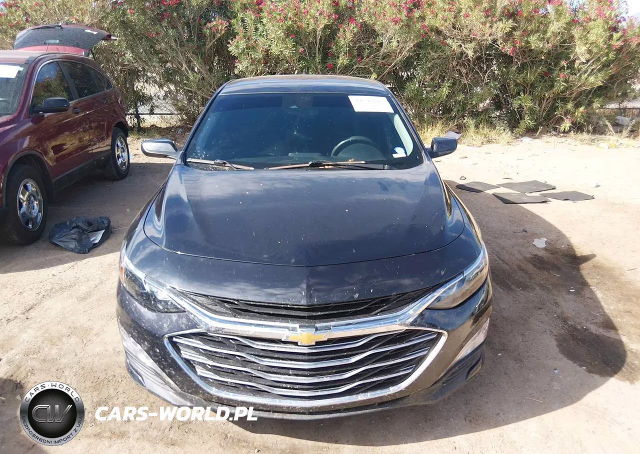 2023 Chevrolet Malibu Fwd 1Lt VIN:1G1ZD5ST8PF175631 - 12