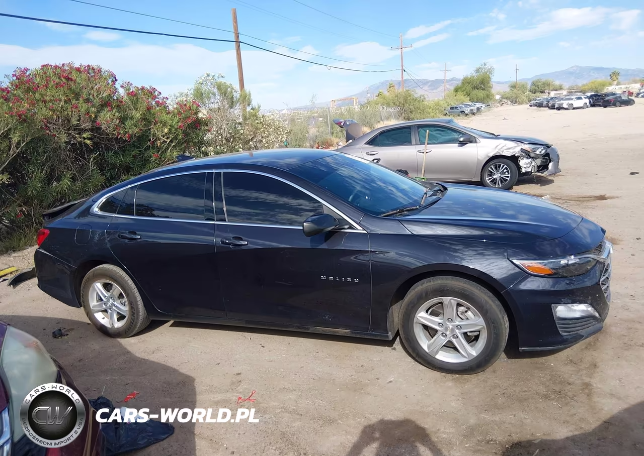2023 Chevrolet Malibu Fwd 1Lt VIN:1G1ZD5ST8PF175631 - 13