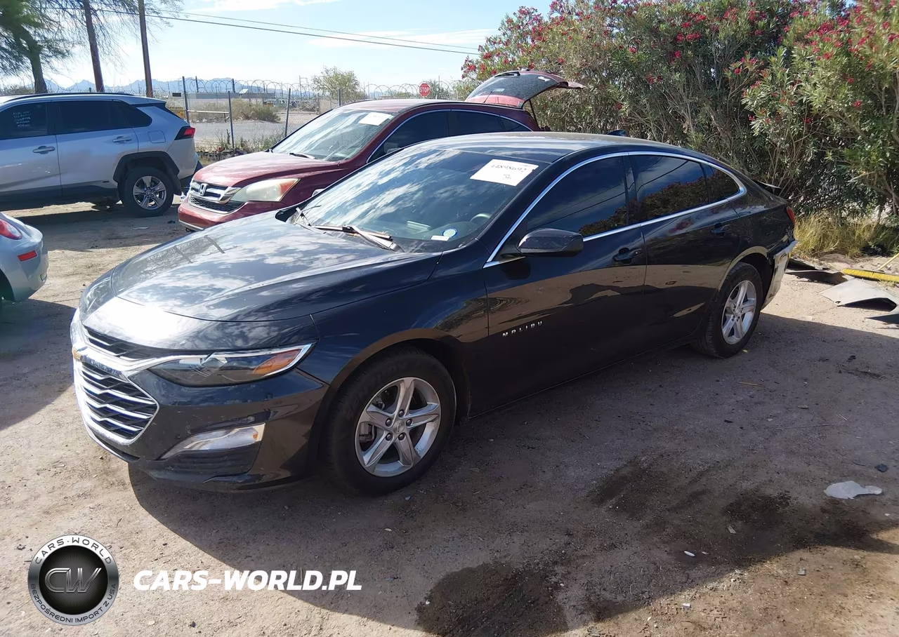 2023 Chevrolet Malibu Fwd 1Lt VIN:1G1ZD5ST8PF175631 - 2