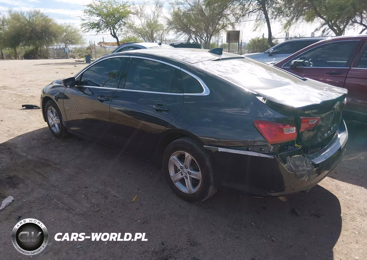 2023 Chevrolet Malibu Fwd 1Lt VIN:1G1ZD5ST8PF175631 - 3