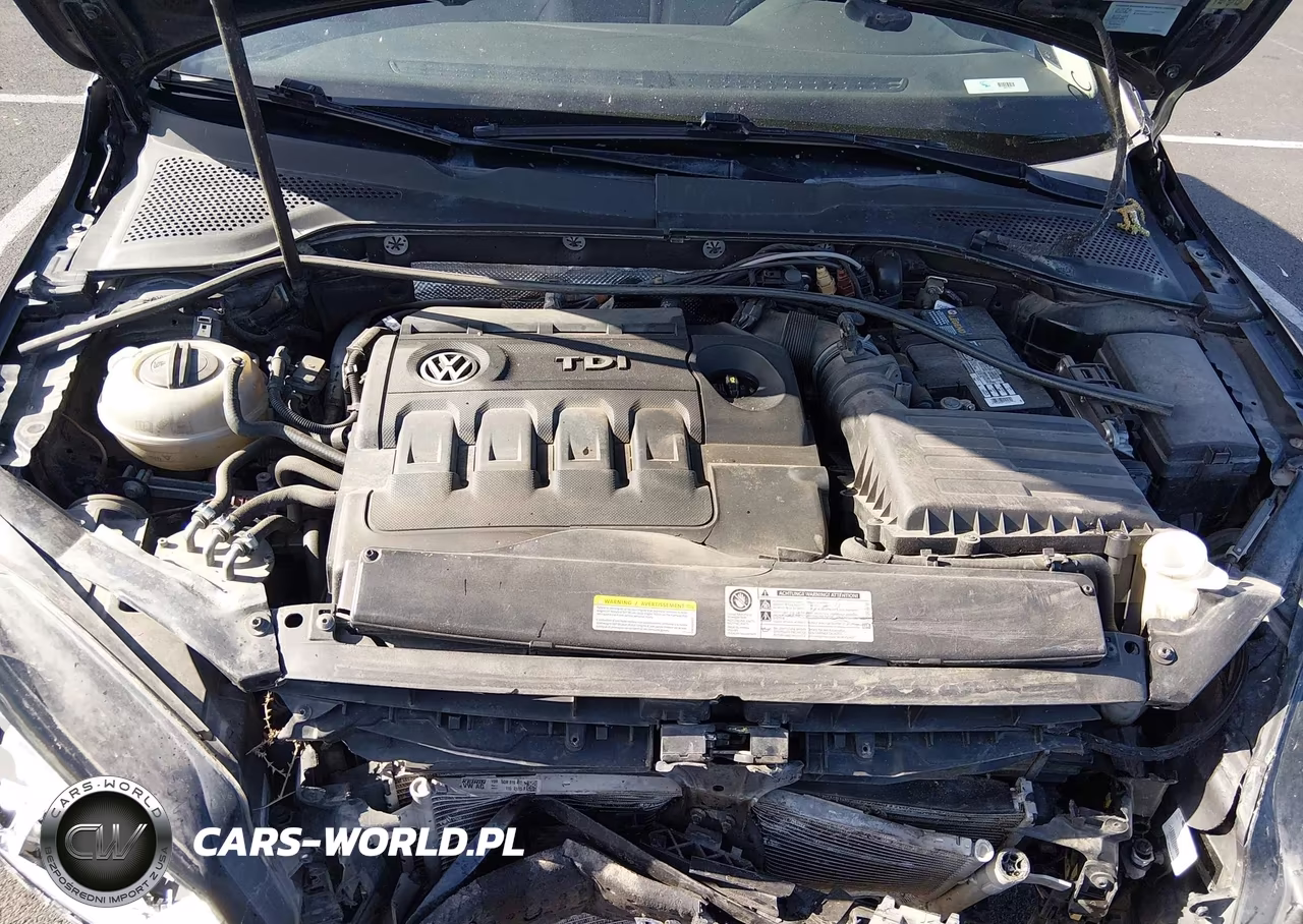 2015 Volkswagen Golf Sportwagen Tdi Se 4-Door VIN:3VWCA7AU0FM516883 - 10