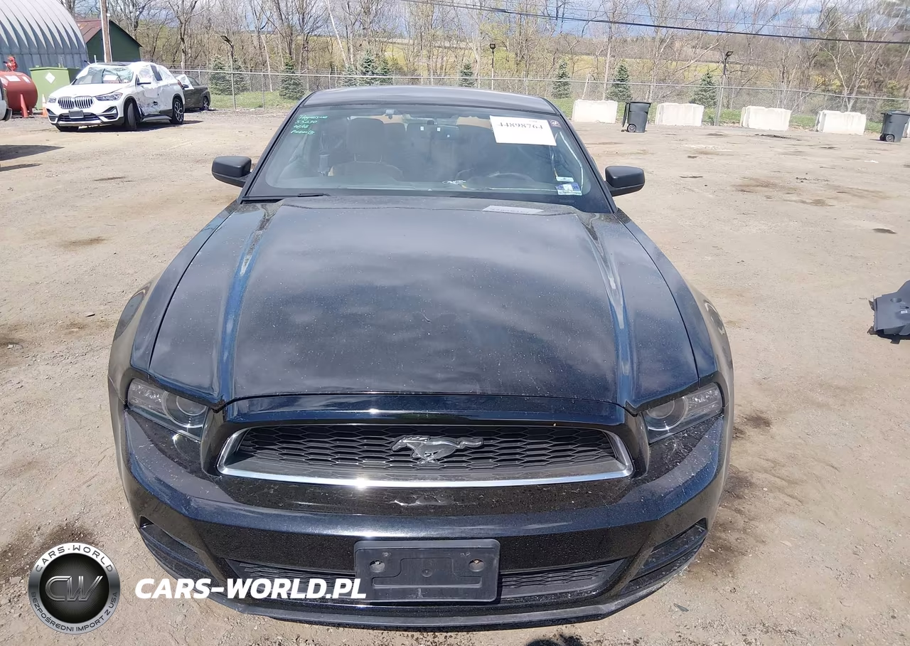 2013 Ford Mustang V6 VIN:1ZVBP8AM1D5280750 - 13