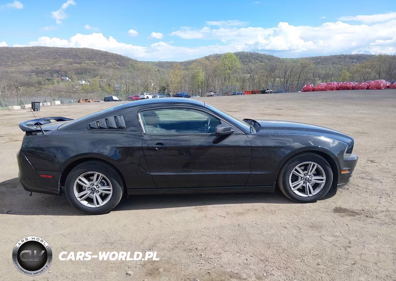 2013 Ford Mustang V6 VIN:1ZVBP8AM1D5280750 - 14
