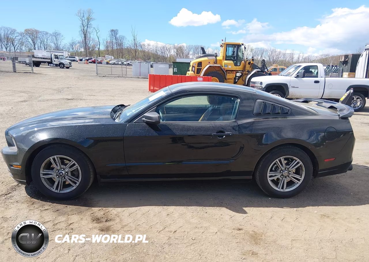 2013 Ford Mustang V6 VIN:1ZVBP8AM1D5280750 - 15