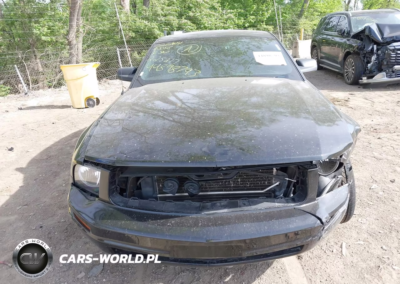 2007 Ford Mustang V6 Deluxe-V6 Premium VIN:1ZVFT80N075225217 - 13