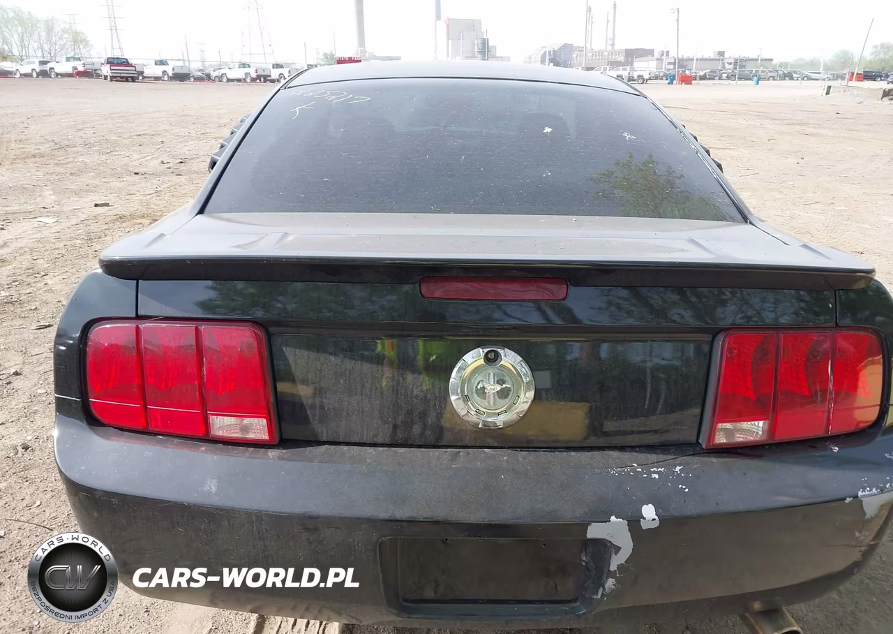 2007 Ford Mustang V6 Deluxe-V6 Premium VIN:1ZVFT80N075225217 - 17