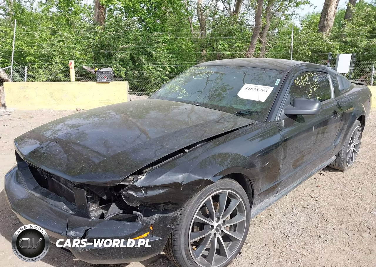 2007 Ford Mustang V6 Deluxe-V6 Premium VIN:1ZVFT80N075225217 - 6