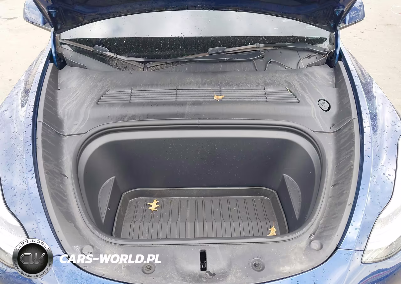 2023 Tesla Model Y VIN:7SAYGDEE9PF766981 - 10