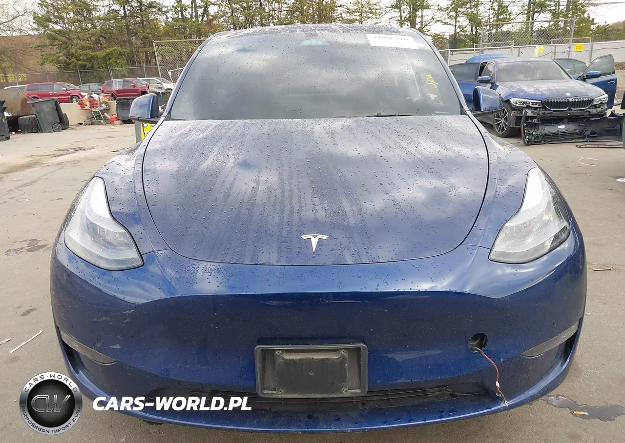 2023 Tesla Model Y VIN:7SAYGDEE9PF766981 - 12