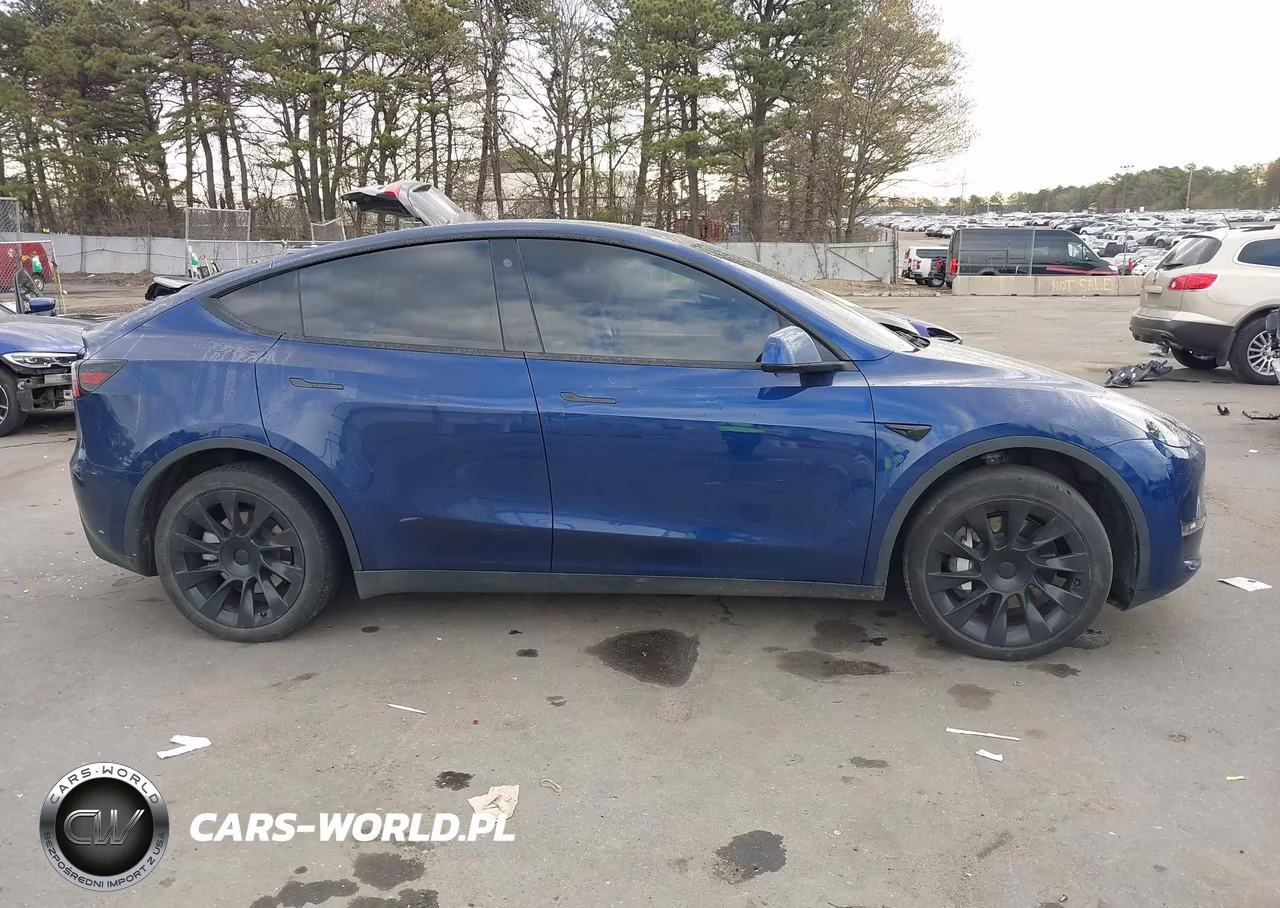 2023 Tesla Model Y VIN:7SAYGDEE9PF766981 - 13