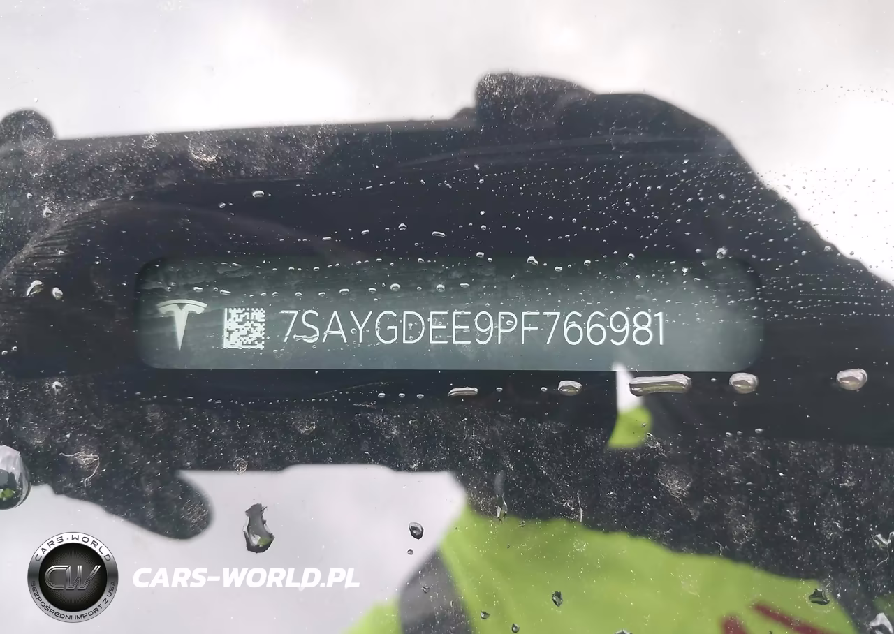 2023 Tesla Model Y VIN:7SAYGDEE9PF766981 - 19