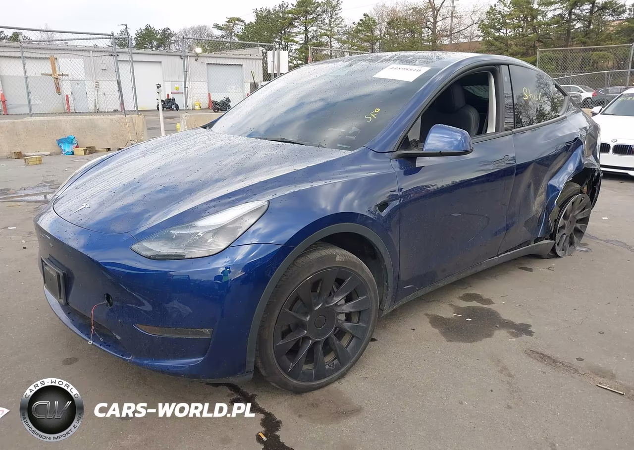 2023 Tesla Model Y VIN:7SAYGDEE9PF766981 - 2