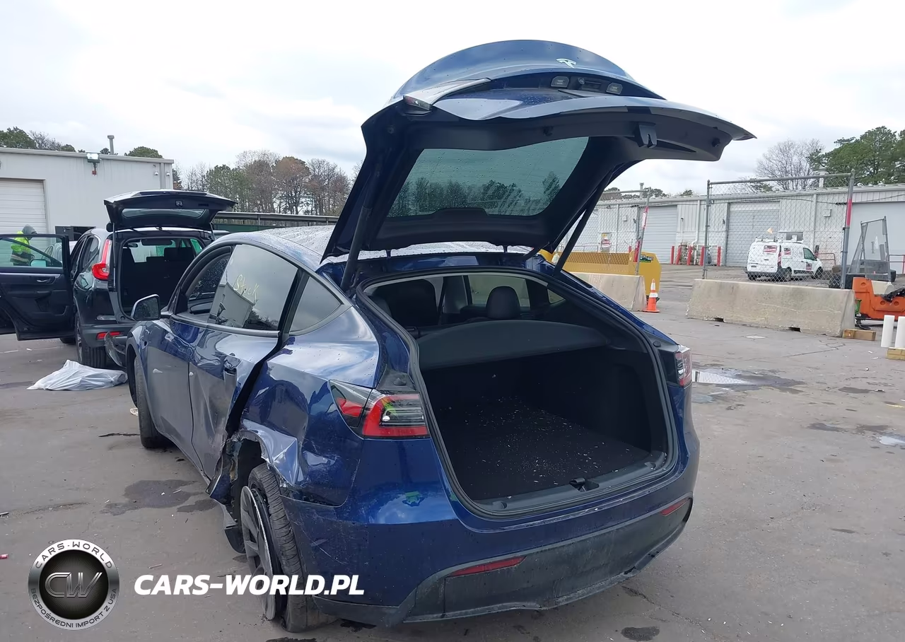 2023 Tesla Model Y VIN:7SAYGDEE9PF766981 - 3