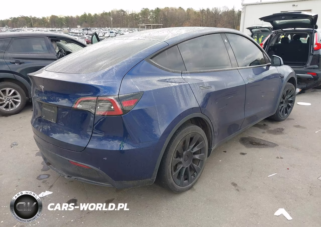 2023 Tesla Model Y VIN:7SAYGDEE9PF766981 - 4