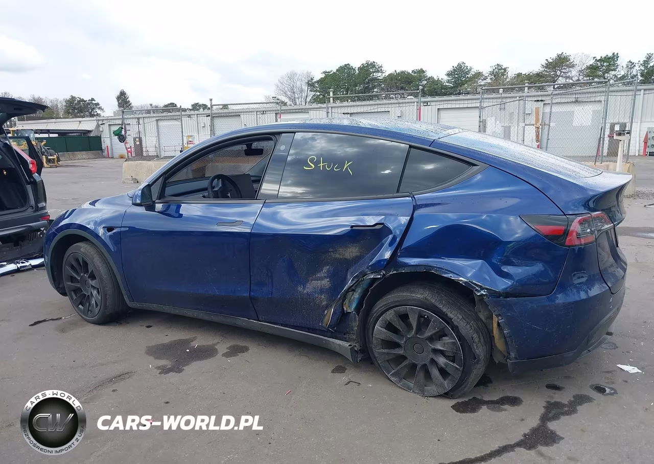 2023 Tesla Model Y VIN:7SAYGDEE9PF766981 - 6