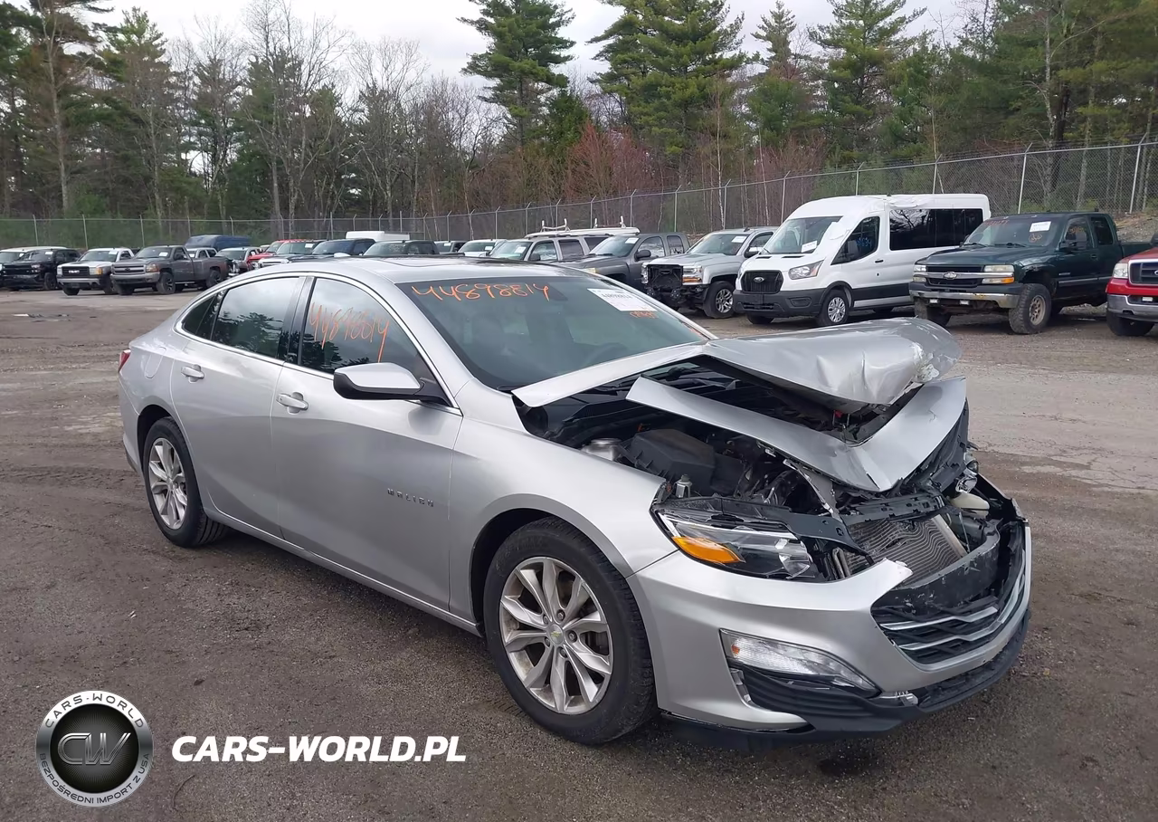2019 Chevrolet Malibu Lt VIN:1G1ZD5ST6KF105991 - 12