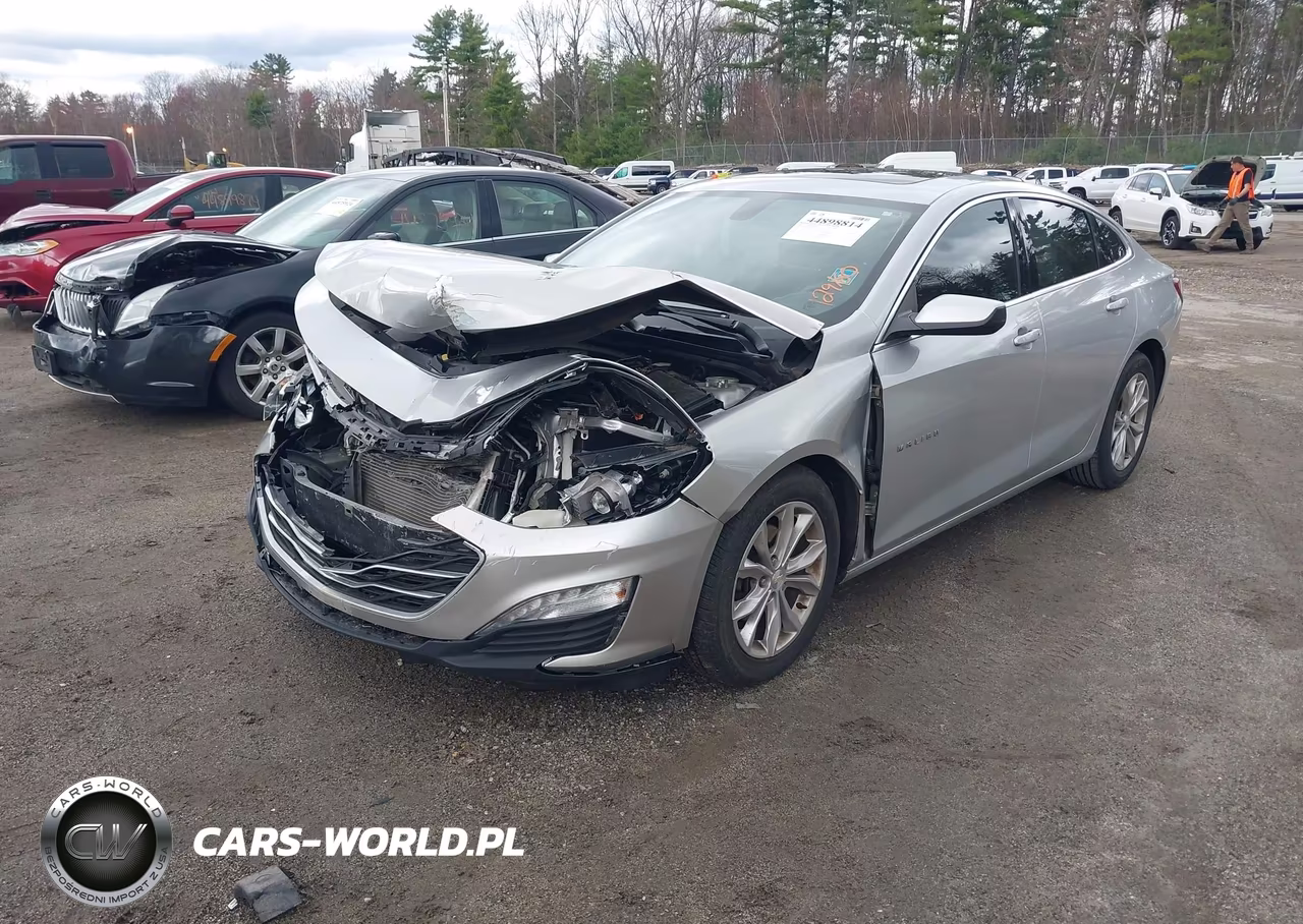 2019 Chevrolet Malibu Lt VIN:1G1ZD5ST6KF105991 - 2
