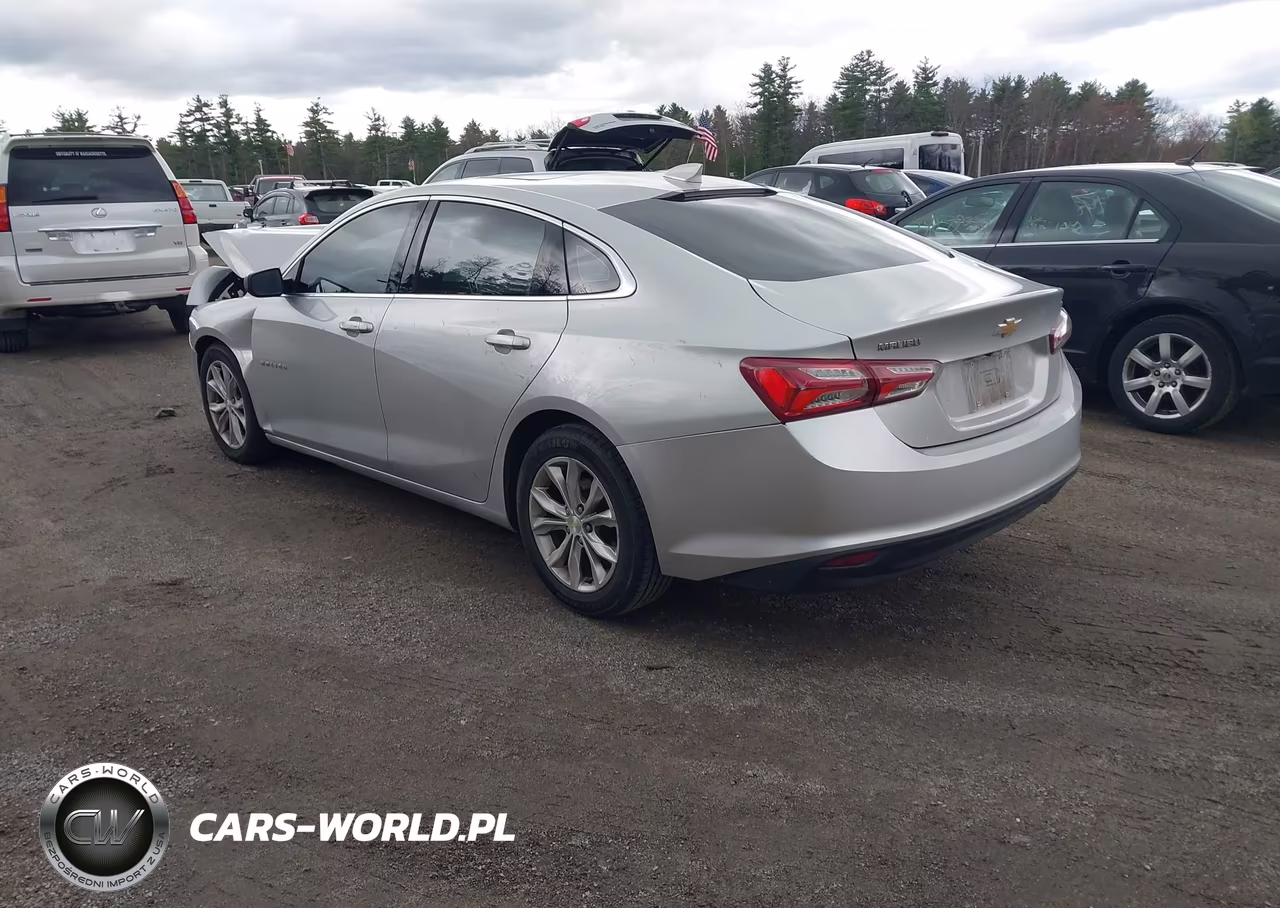 2019 Chevrolet Malibu Lt VIN:1G1ZD5ST6KF105991 - 3