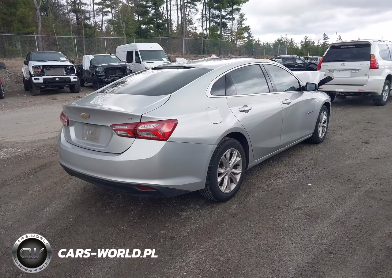 2019 Chevrolet Malibu Lt VIN:1G1ZD5ST6KF105991 - 4