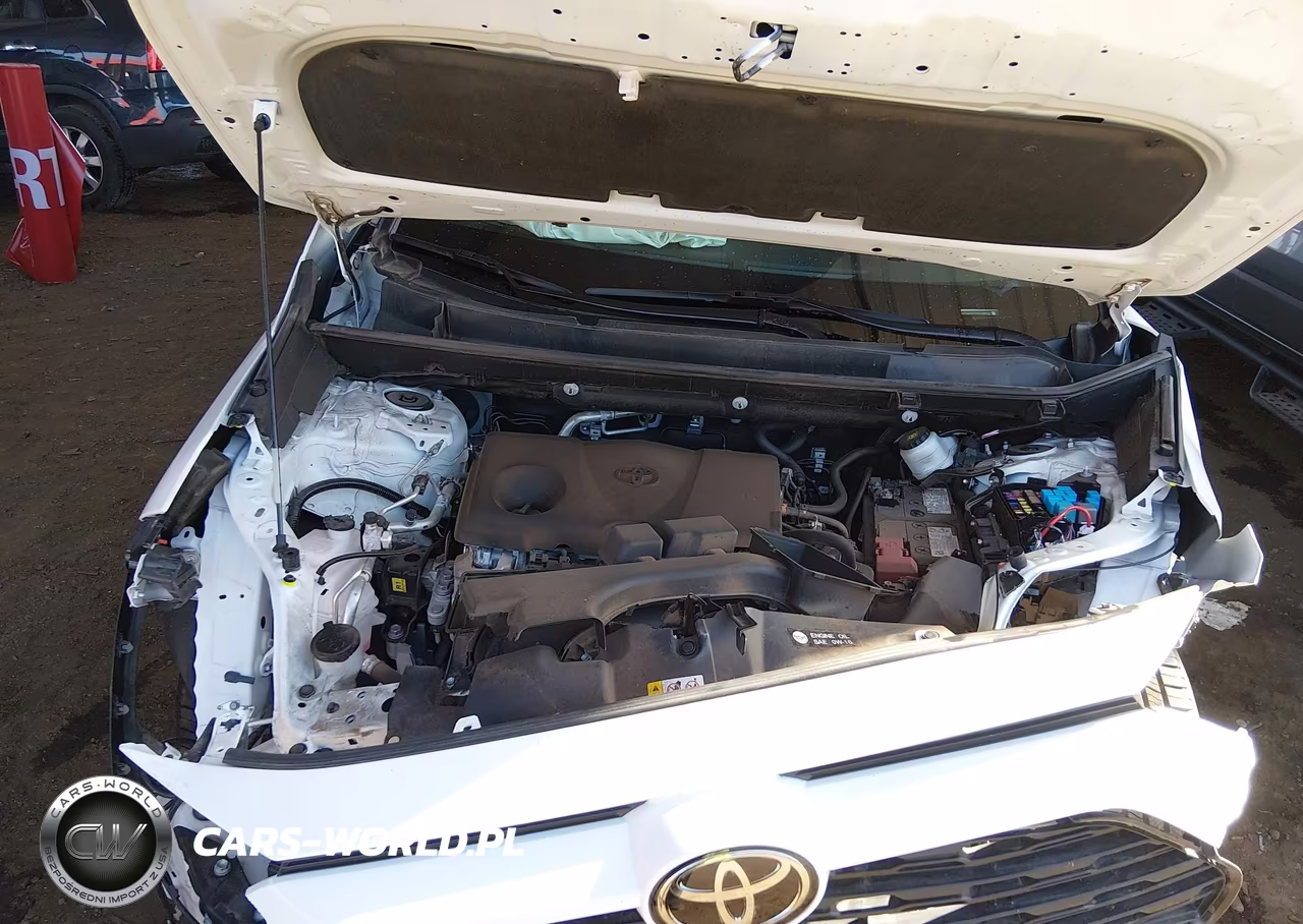 2024 Toyota Rav4 Xle VIN:2T3W1RFV4RC268574 - 10