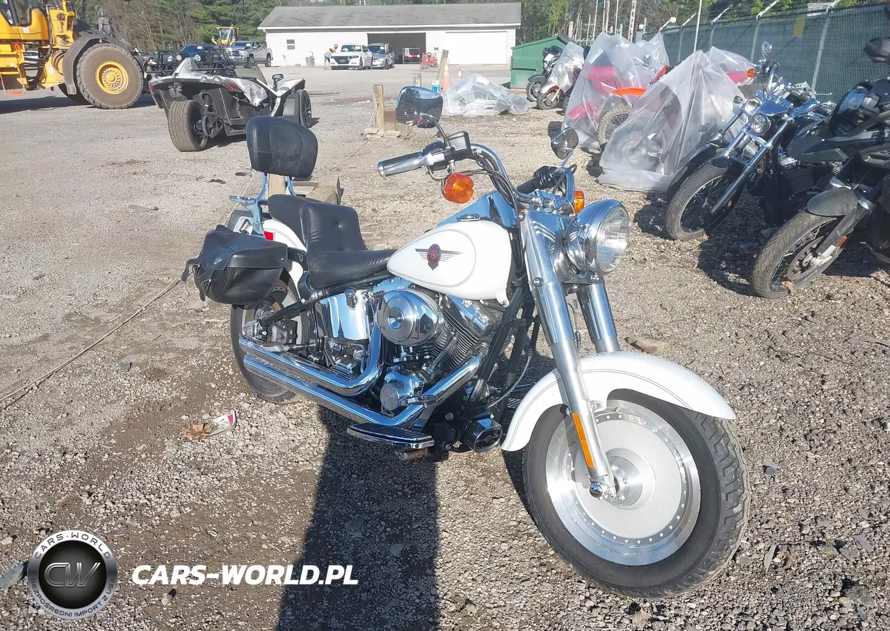 2001 Harley-Davidson Flstf