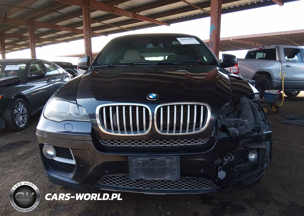 2013 BMW X6 xDrive50I VIN:5UXFG8C58DL591340 - 13