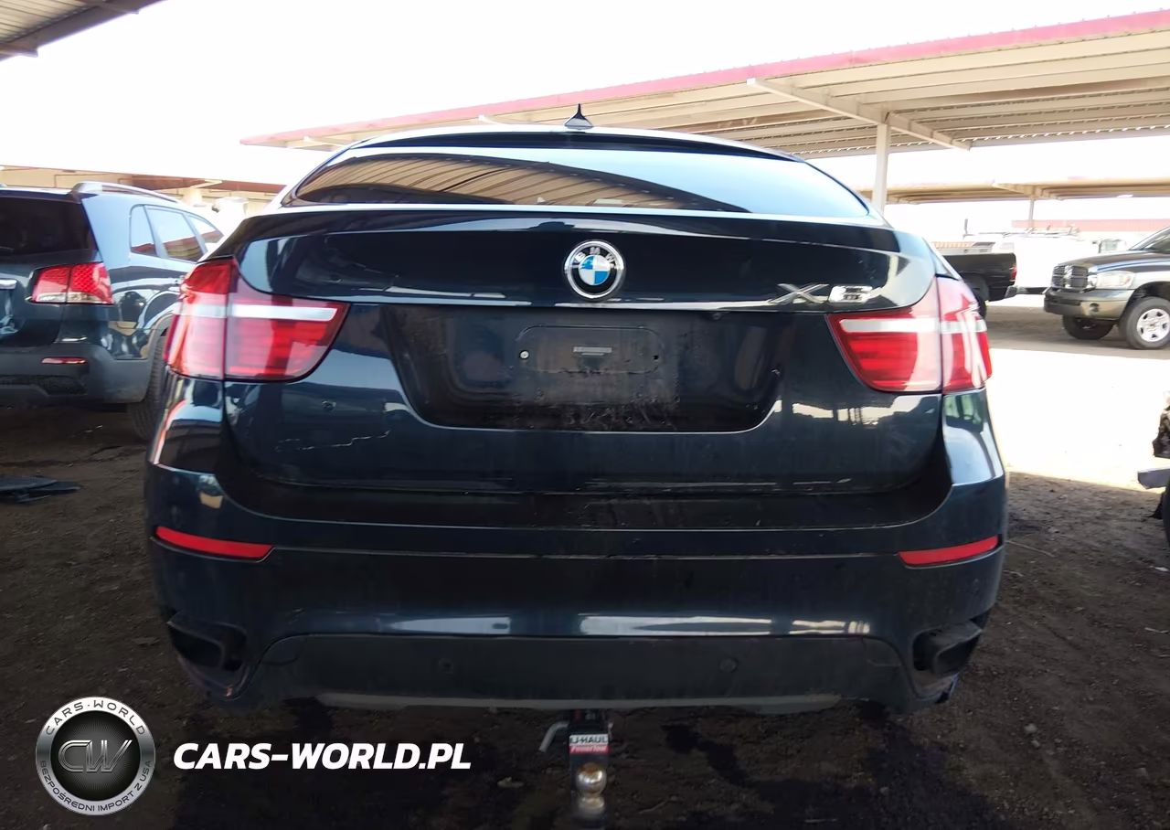 2013 BMW X6 xDrive50I VIN:5UXFG8C58DL591340 - 17